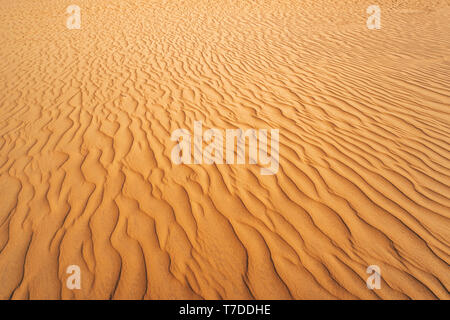 Abstract texture. Background with smooth lines of sand. Sand dunes Ripples in the sand. Strips in the sand from the wind Stock Photo