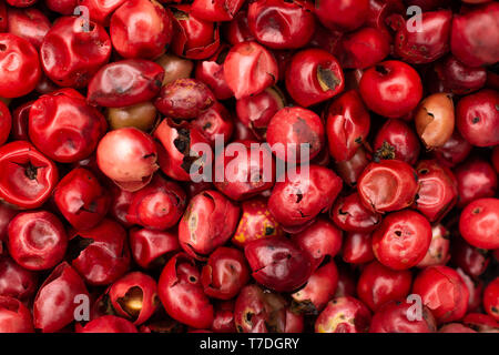 Closeup of lot of whole peruvian pink pepper flatlay Stock Photo