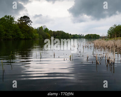 Trentham lake, Trentham Estate, Stoke-on-Trent, Staffordshire, UK Stock Photo