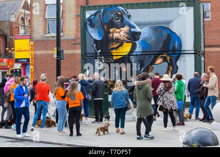 Boscombe, Bournemouth, Dorset, UK. 6th May, 2019. Dachshund Dash, part of Bournemouth Emerging Arts Fringe (BEAF) Festival invites dachshunds and their owners to gather under the Daschund artwork to see how many they can gather in one place. Credit: Carolyn Jenkins/Alamy Live News