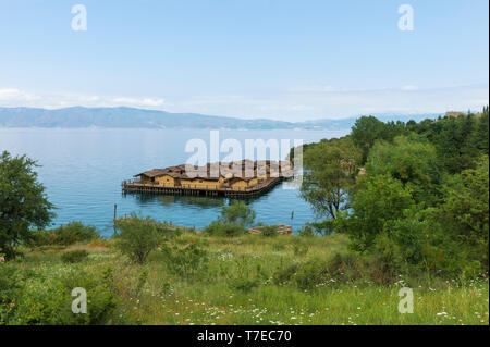 Lacustrine Bay of Bones Archaeologic museum built on platform of 10.000 wooden piles, Gulf of Bones, Ohrid lake, Macedonia Stock Photo