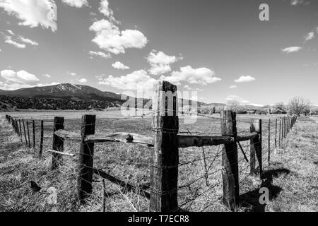 Black & white of barbed wire and wooden fence posts border ranch pasture; Vandaveer Ranch; Salida; Colorado; USA Stock Photo