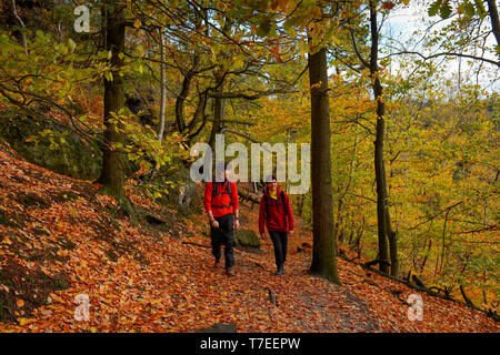 Wanderweg Elbleitenweg, Schrammsteingebiet, Nationalpark Saechsische Schweiz, Sachsen, Deutschland Stock Photo