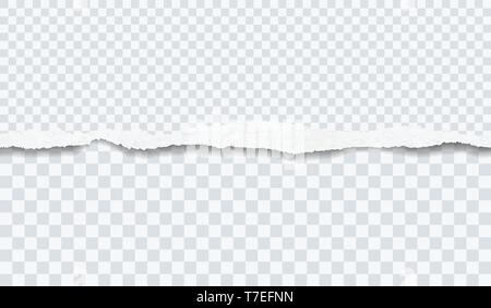 Piece of torn horizontal paper strip is on squared background. Vector illustration Stock Vector