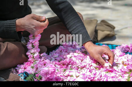 hands working with rose buds, putting them on a string Stock Photo