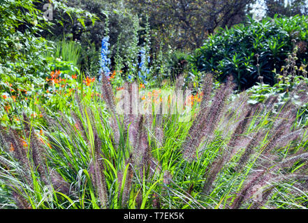 Long grasses, flowers in bloom in a summer English garden Stock Photo
