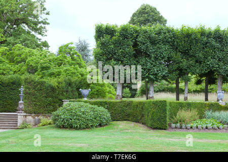 Landscaped garden trimmed hedge, leafy trees, evergreen shrubs, ornamental flower pots, on a sunny summer day in an English countryside . Stock Photo