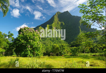 Mount Rotui Moorea Tahiti Stock Photo