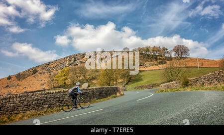 female cyclist riding a bike up the steep hill climb of Côte de Barden Moor, part of the Tour de Yorkshire 2019 cycle race route, Yorkshire Dales, UK Stock Photo