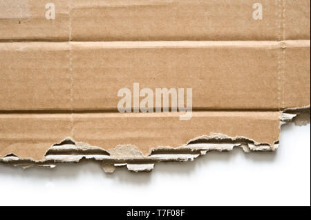 Torn cardboard on white background. Stock Photo