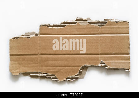 Piece of torn cardboard on white background. Stock Photo