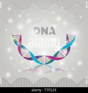 dna molecule half circle structure pattern Stock Vector Image & Art - Alamy