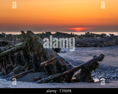 Close-up of an exposed shipwreck at low tide from World War II during sunset at the beach Stock Photo