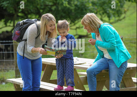 A new children's trail has been created at Woodchester Park, near Stroud, thanks to the National Trust. Stock Photo