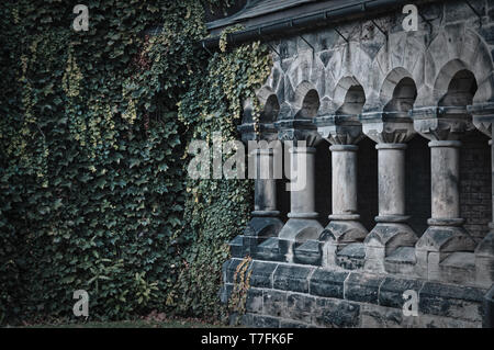 Green branches and leaves of ivy covering the wall step by step conquer ancient stone colonnade Stock Photo