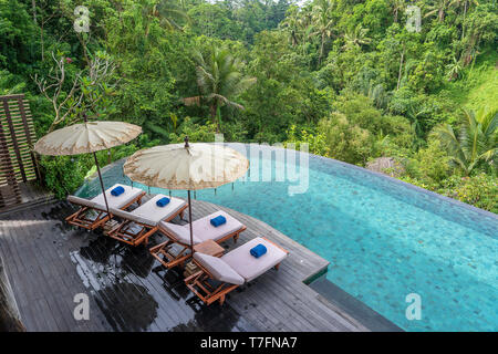 View of the swimming pool water and sunbeds in the tropical jungle in the morning near Ubud, Bali, Indonesia , top view Stock Photo