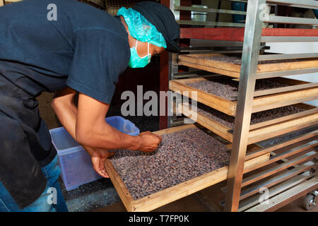 Bali island, Indonesia - October 03, 2015: Young man working at chocolate factory,  checking process of cocoa beans roasting Stock Photo