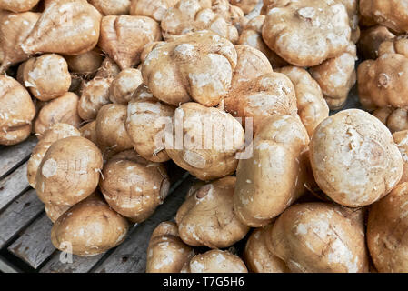 Close-up of a bunch of brown colored turnip vegetables lying on a bamboo table for sale at a local farm market in the Philippines Stock Photo