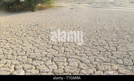 Dried out river bed (wadi) in Negev desert of Israel around the Dead Sea. Stock Photo