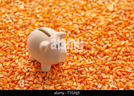 Piggy bank on pile of harvested corn seed with copy space as conceptual image for financial savings and retirement plan in agriculture and farming bus Stock Photo