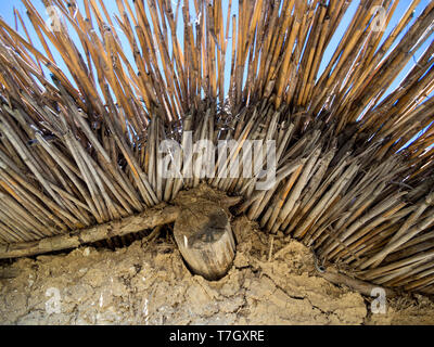 Fragment of the reed roof on a hut of clay-covered branches Stock Photo