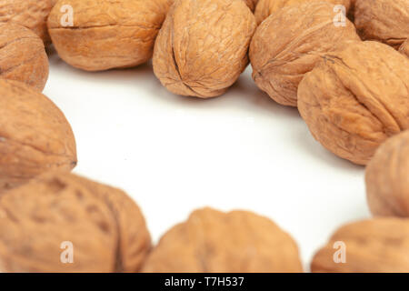 Walnuts form a circle on white background. Close-up of many fresh walnuts isolated on white background. Stock Photo