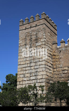 Spain. Andalusia. Seville. Royal Alcazar-walls. Almohad period. Stock Photo