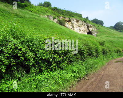 Nature reserve Bemelerberg in Limburg, Netherlands. Merl cave in green grass covered low hill. Hedge along a dirt road below the slope. Stock Photo