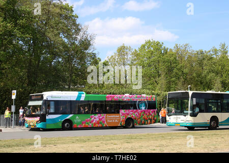 Keukenhof Express- special livery on Arriva bus - seen outside Keukenhof Gardens near Lisse, South Holland, Netherlands 24th April 2019. Stock Photo