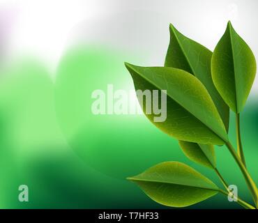 Realistic 3d tea green leaves vector background illustration. Closeup nature design isolated plant set. Stock Vector