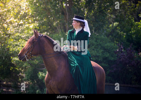 Pura Raza Espanola, Andalusian. Rider with costume and sidesaddle standing on a meadow. Switzerland Stock Photo