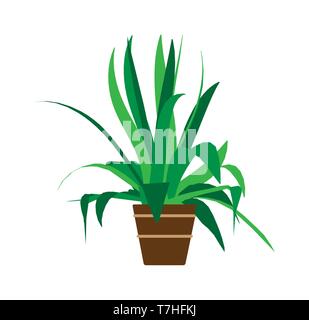 Indoor pot plant home vector. Floral green cartoon interior icon. Summer flower room graphic illustration. Office decoration small flowerpot isolated. Stock Vector
