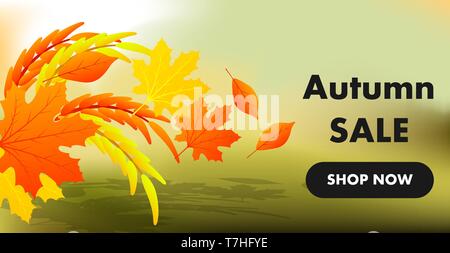 Autumn sale yellow fall leaves background. Colorful foliage nature element banner vector. Business retail abstract decoration space. Color poster blan Stock Vector
