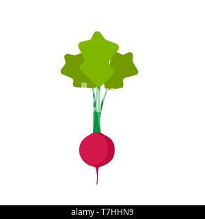 Radish red top view vector icon. Natural vegetarian symbol agriculture flat vegetables ingredient. Food farm garden Stock Vector