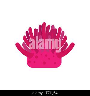 Sea urchin nature wildlife design colorful symbol environment vector icon. Reef element underwater marine Stock Vector