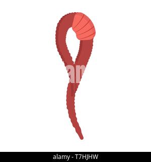 Work fishing lure nature animal flat vector icon. Farm cartoon hook insect parasite. Garden brown caterpillar Stock Vector
