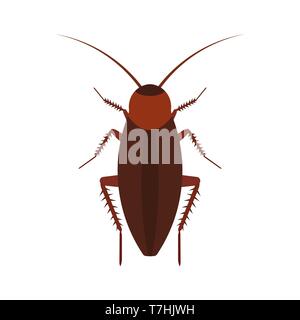 Cockroach insect vector icon above pest. Brown animal top view cartoon bug. Flat body parasite pollution Stock Vector