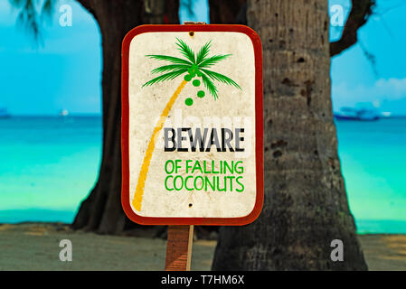Sign 'Beware of falling coconuts' on Koh Tao in Thailand, Asia Stock Photo