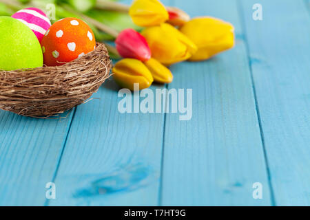 Colorful easter eggs in easter nest with tulips on blue wooden background Stock Photo