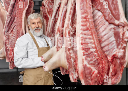 Elderly butcher wearing in white uniform and brown apron standing near row of pork carcasses, holding device. Worker working in refrigerator, testing fresh meat, posing and looking at camera. Stock Photo