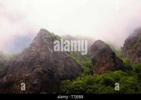 A magical view of the forested mountain in a foggy day Stock Photo - Alamy