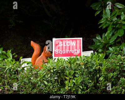 Slow Red Squirrels Sign, Perthshire, Scotland, UK Stock Photo
