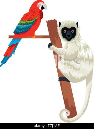 tropical capuchin monkey and parrot Stock Vector