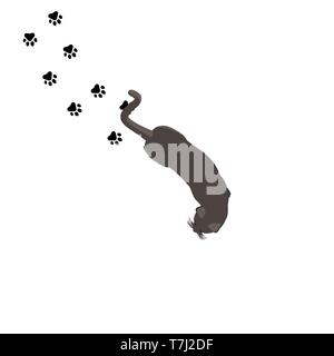Cat top view vector black cute isolated illustration animal realistic pet Stock Vector