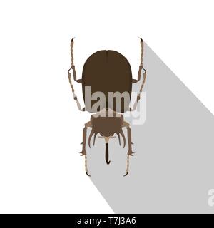 Beetle rhinoceros vector bug rhino illustration silhouette nature insect isolated Stock Vector