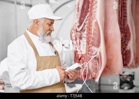 Elderly man working on fresh meat manufacturing. Professional worker in white uniform, brown apron standing, holding and looking on device. Butcher testing pork carcasses. Stock Photo