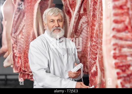 Elderly butcher testing meat, wearing in white uniform and brown apron, posing near row of pork carcasses, holding device. Professional worker standing in refrigerator and looking at camera. Stock Photo