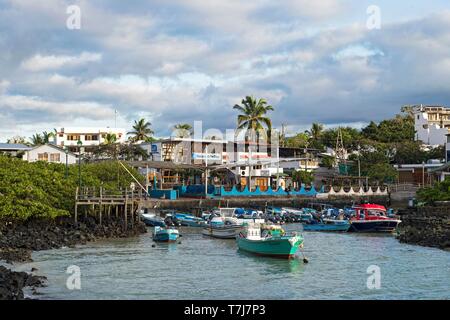 Small fishing port of Puerto Ayuro, Santa Cruz Island, Galapagos Islands, Ecuador Stock Photo