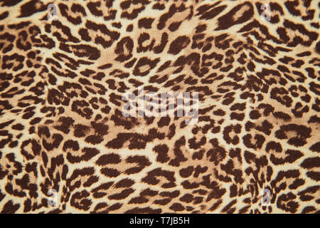 Leopard background pattern animal print leopard textile design fabric Leopard skin seamless pattern Stock Photo
