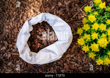 mulching flower bed with pine tree bark mulch Stock Photo